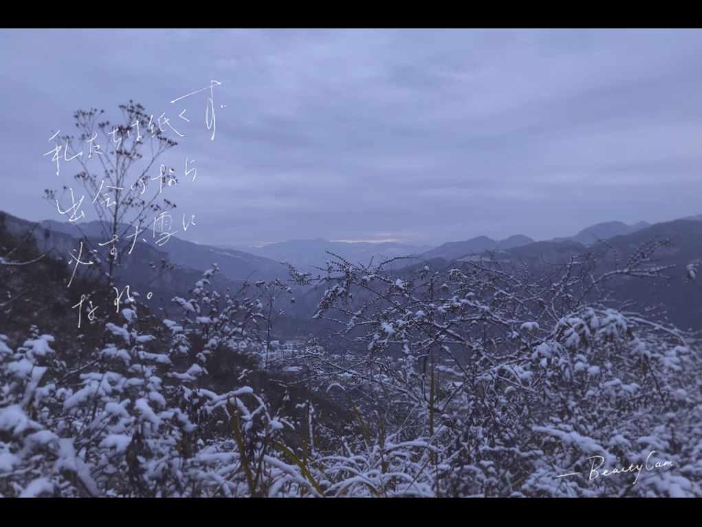 探索知识星球平台-