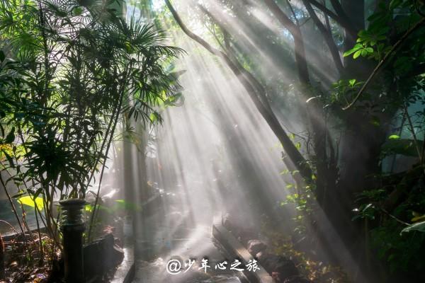 幸福之门