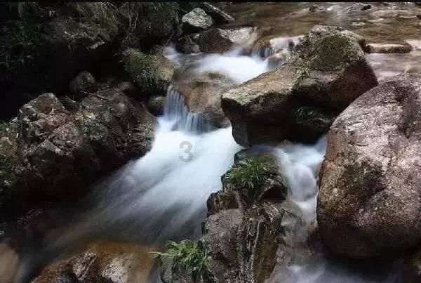 吃水果的蛇